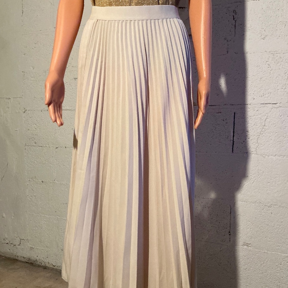 H&M Maxi Pleated Skirt
